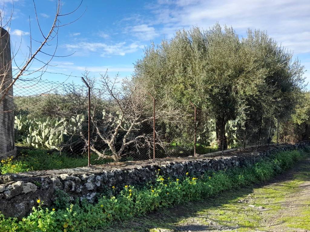 Terreno a Belpasso in Strada Comunale Mulini - Foto 2