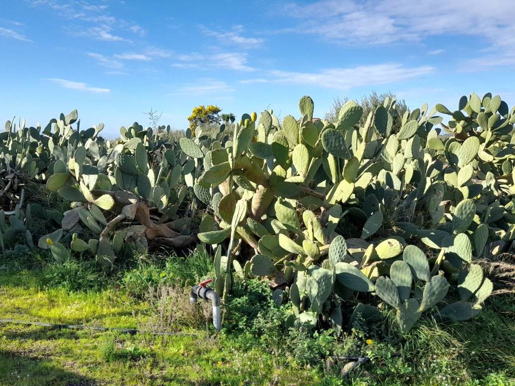 Terreno a Belpasso in Strada Comunale Mulini - Foto 5