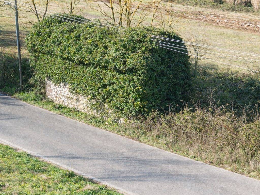 Rustico / casale a Segni in Via della Mola, 4 - Foto 5