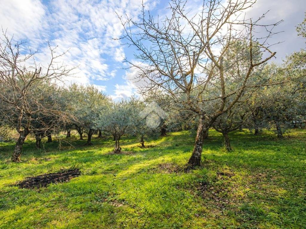 Terreno a Sant'omero in Via Colle S. Polo - Foto 2