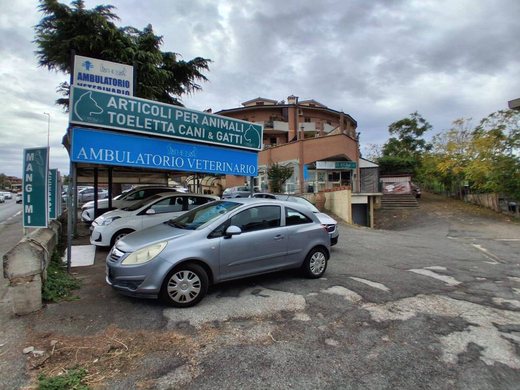 Immobile a Monte compatri in Via Casilina, 3034 - Foto 3