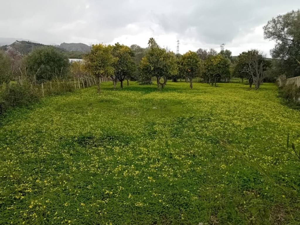 Terreno a Bianco in Via Ex Statale 106, 34 - Foto 2