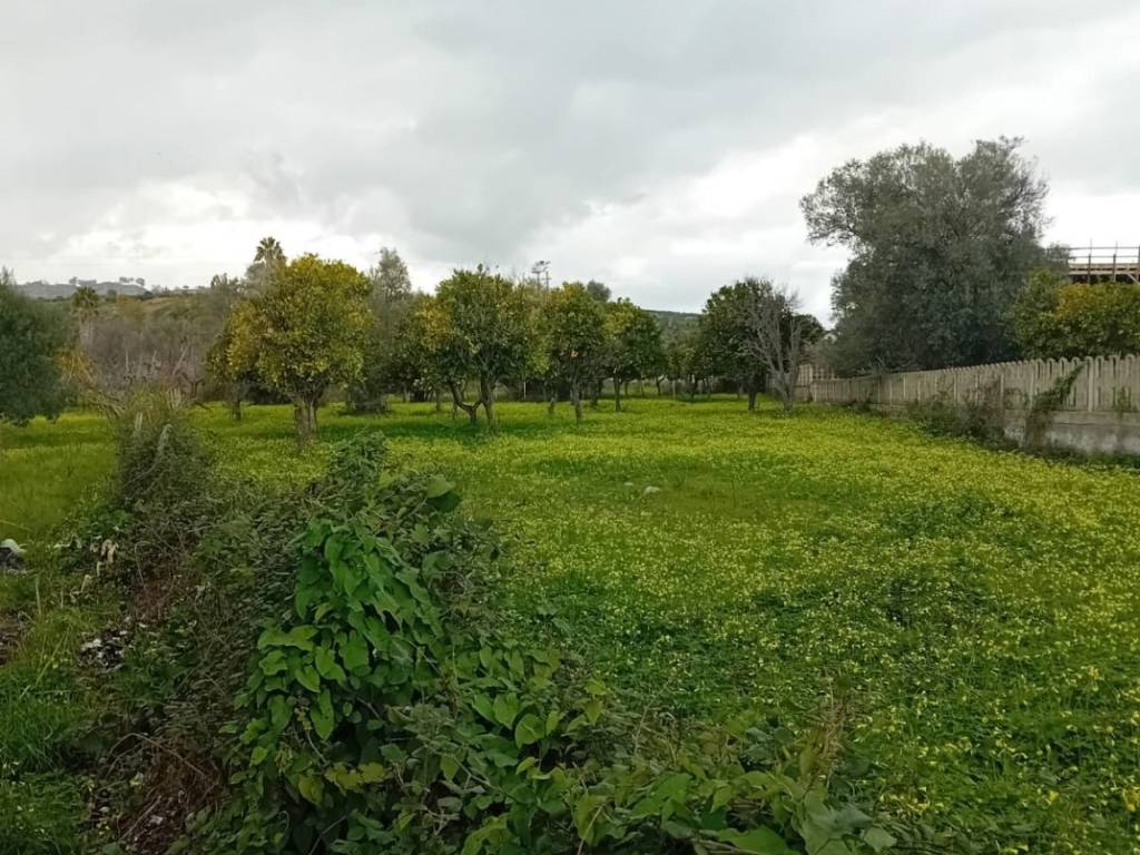 Terreno a Bianco in Via Ex Statale 106, 34 - Foto 3