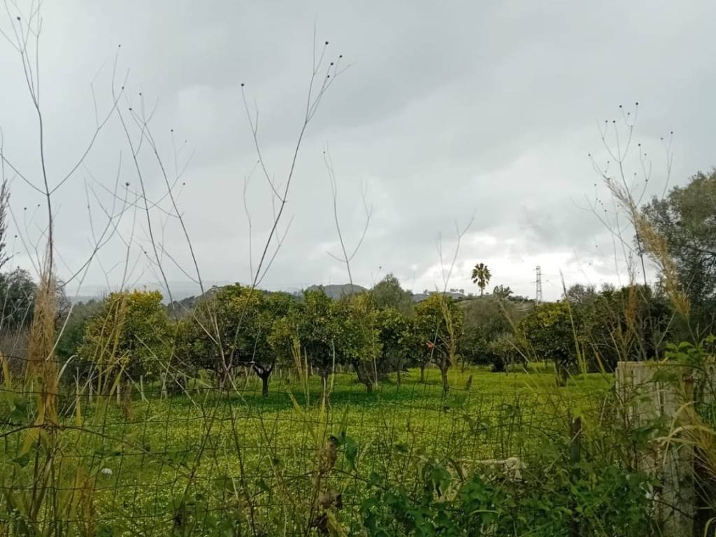 Terreno a Bianco in Via Ex Statale 106, 34 - Foto 4