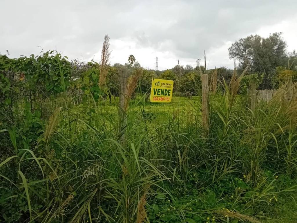 Terreno a Bianco in Via Ex Statale 106, 34 - Foto 5