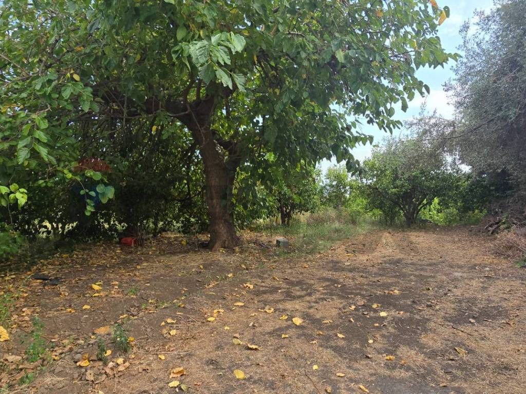 Terreno a Mascali in Via Carlino, 50 - Foto 3