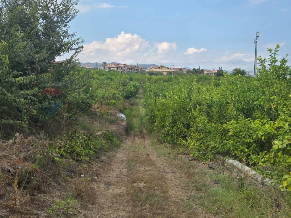 Terreno a Mascali in Via Carlino, 50 - Foto 4