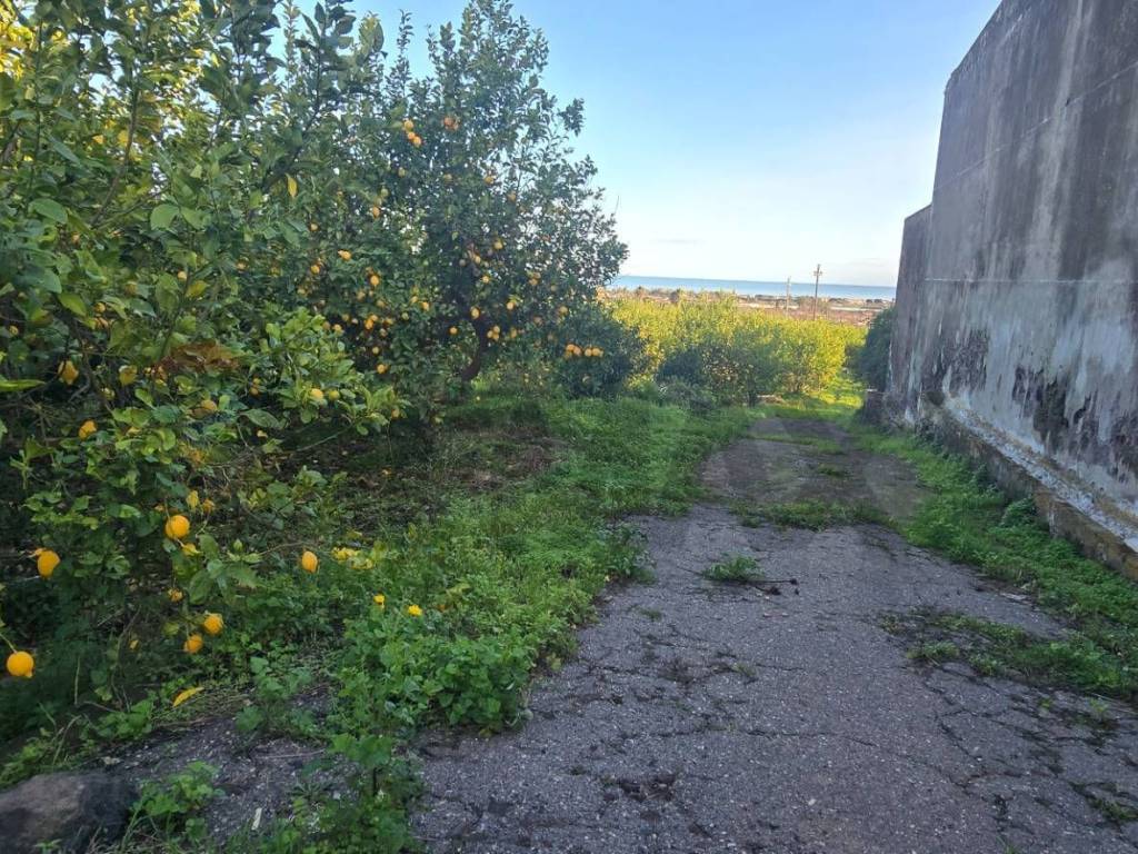 Terreno a Mascali in Via Carlino, 50 - Foto 5