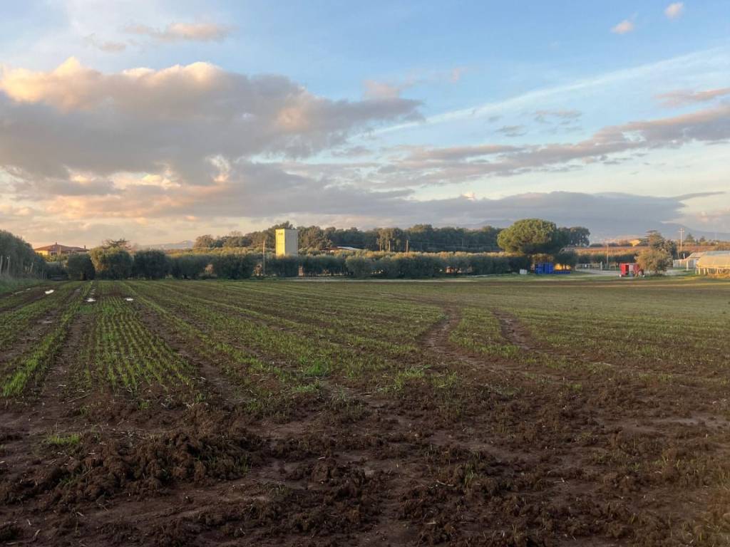 Terreno a Velletri in Via Colle San Clemente - Foto 5