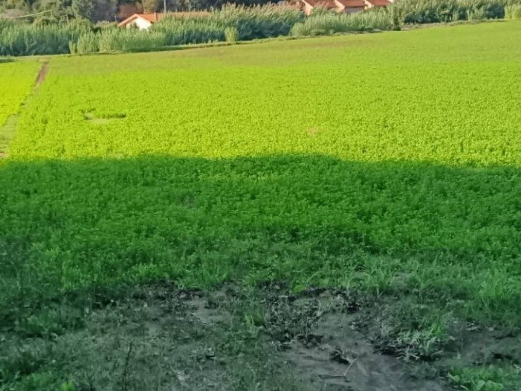 Terreno a Ardea in Via Nazareno Strampelli, 8 - Foto 5