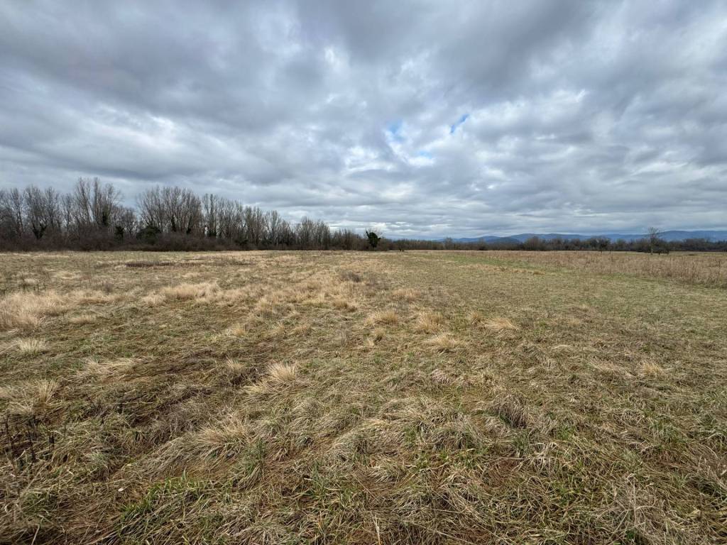 Terreno a Savogna d'isonzo - Foto 2