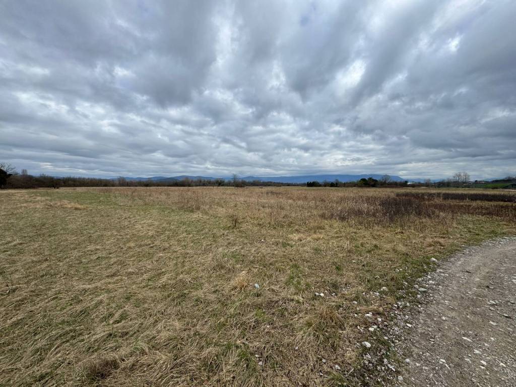 Terreno a Savogna d'isonzo - Foto 4