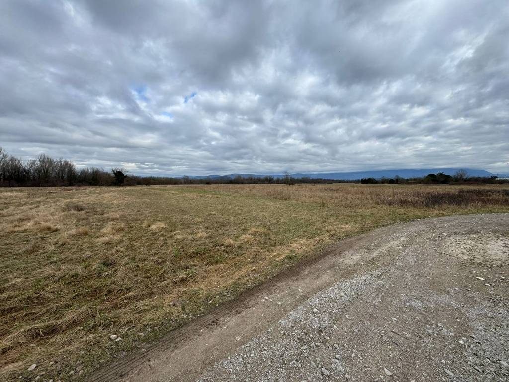 Terreno a Savogna d'isonzo - Foto 5
