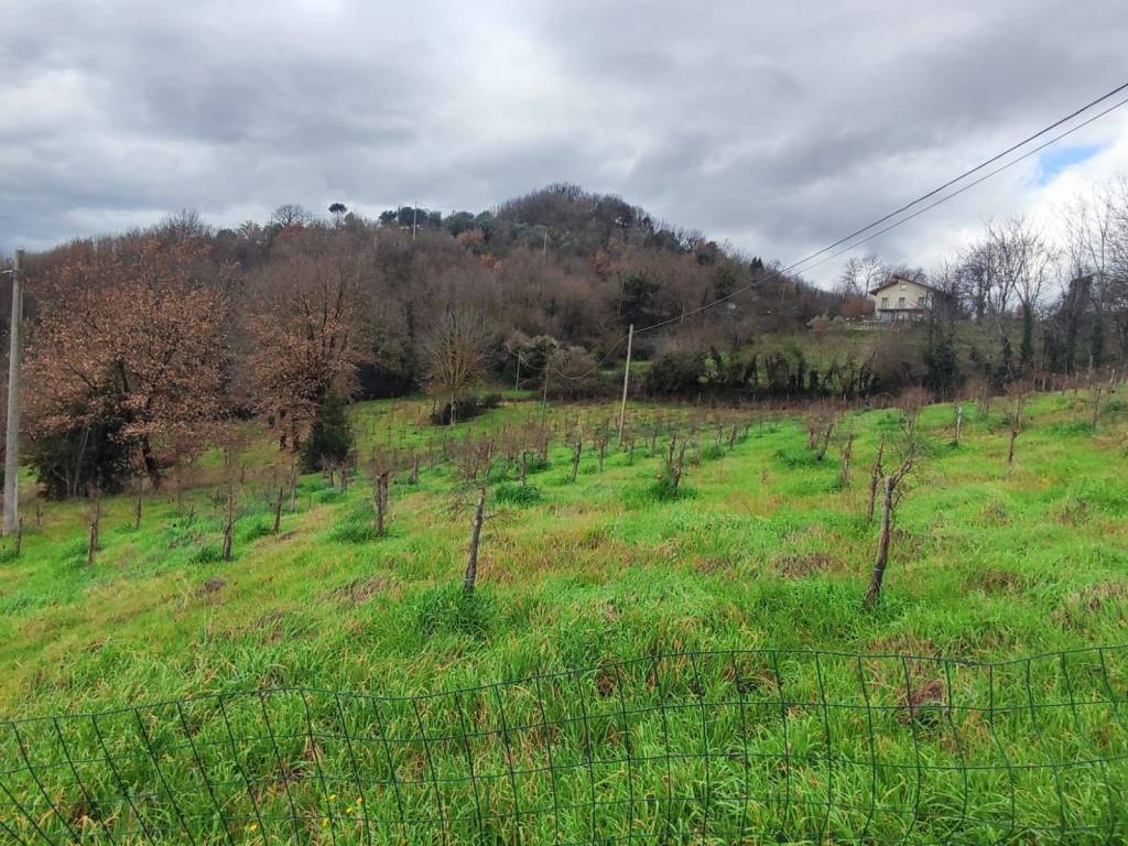 Terreno a Atripalda in Contrada Castello - Foto 3