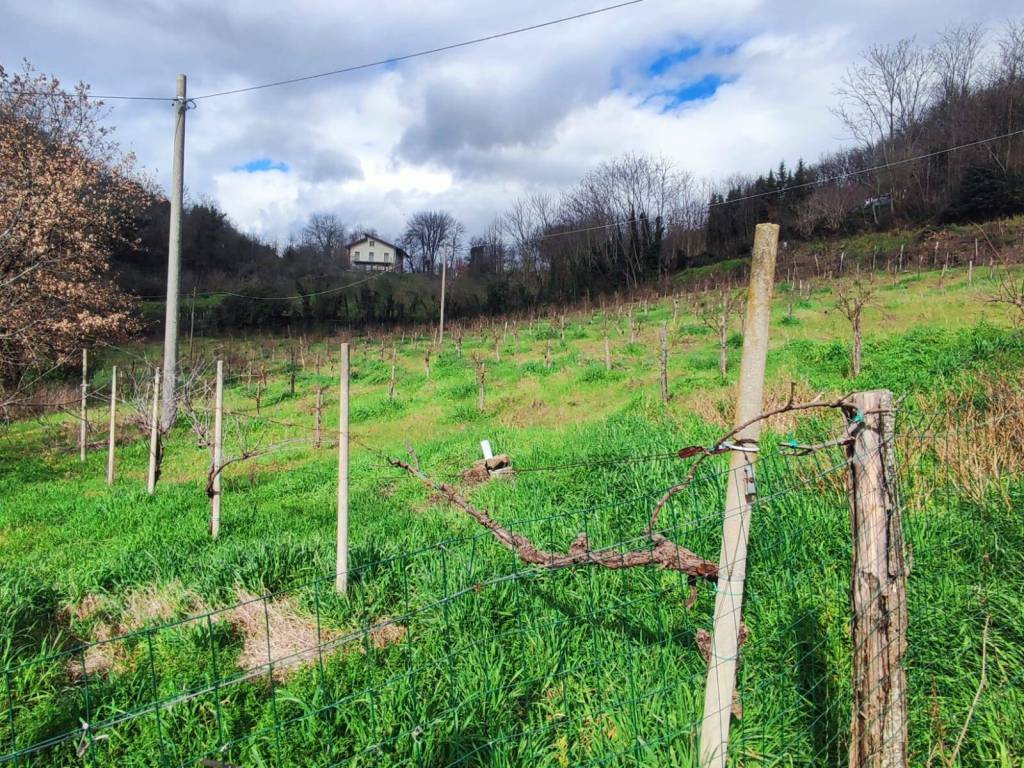 Terreno a Atripalda in Contrada Castello - Foto 4