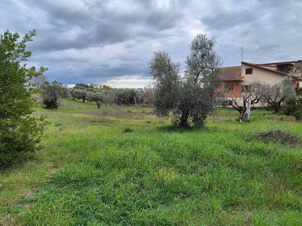 Villa a Ardea in Via della Madonnina, 24 - Foto 2
