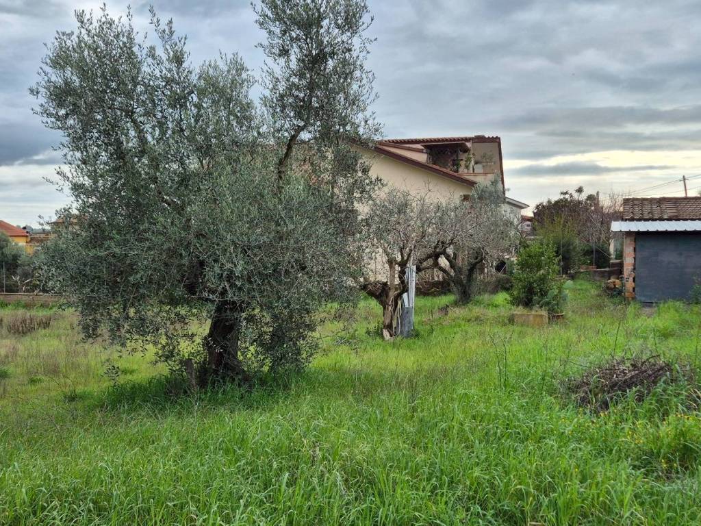 Villa a Ardea in Via della Madonnina, 24 - Foto 5