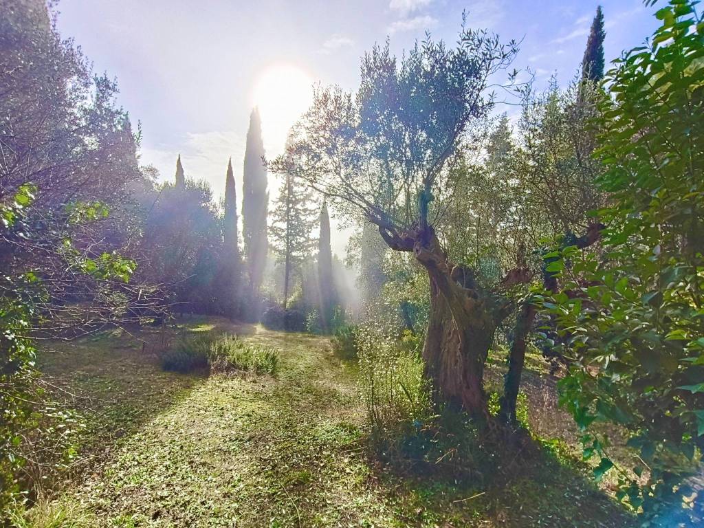 Terreno a Gabicce mare in Via Dolce Colle - Foto 3