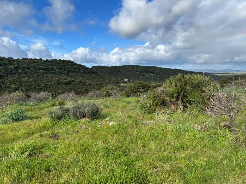 Terreno a Alghero in monte murone - Foto 3