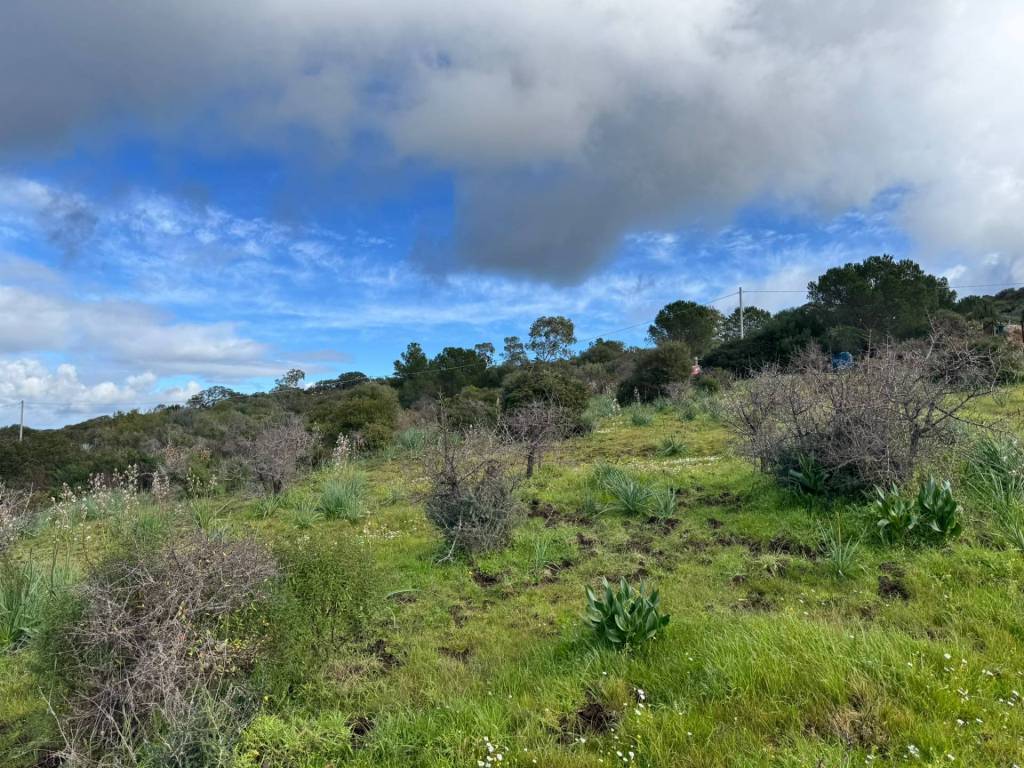 Terreno a Alghero in monte murone - Foto 4