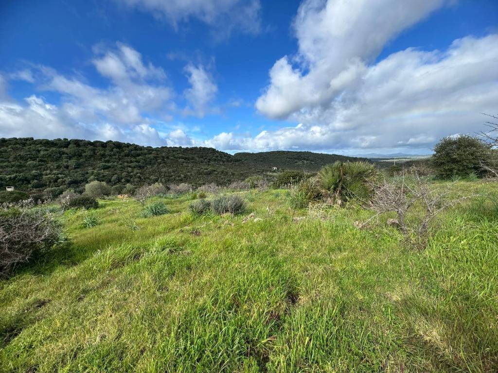 Terreno a Alghero in monte murone - Foto 5
