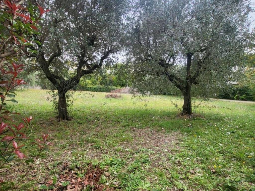 Terreno a Ariccia in Via Rufelli - Foto 2