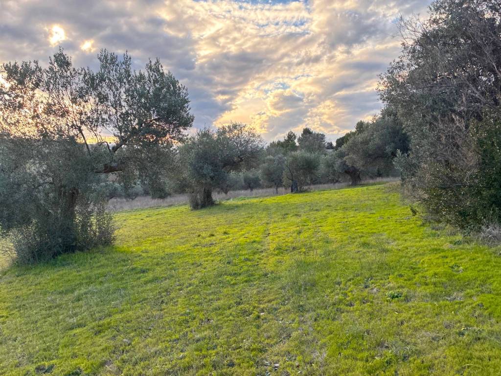 Terreno a Montesilvano in Via Alcide De Gasperi - Foto 3