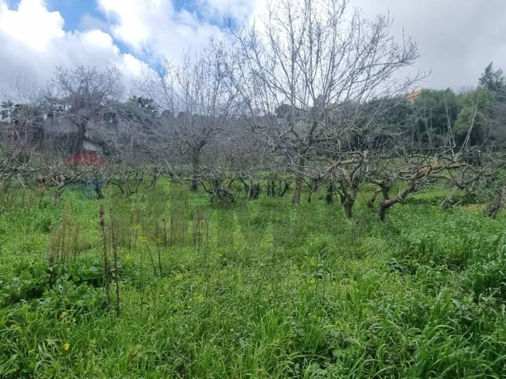 Terreno a Monreale in Contrada Montagnola - Foto 3