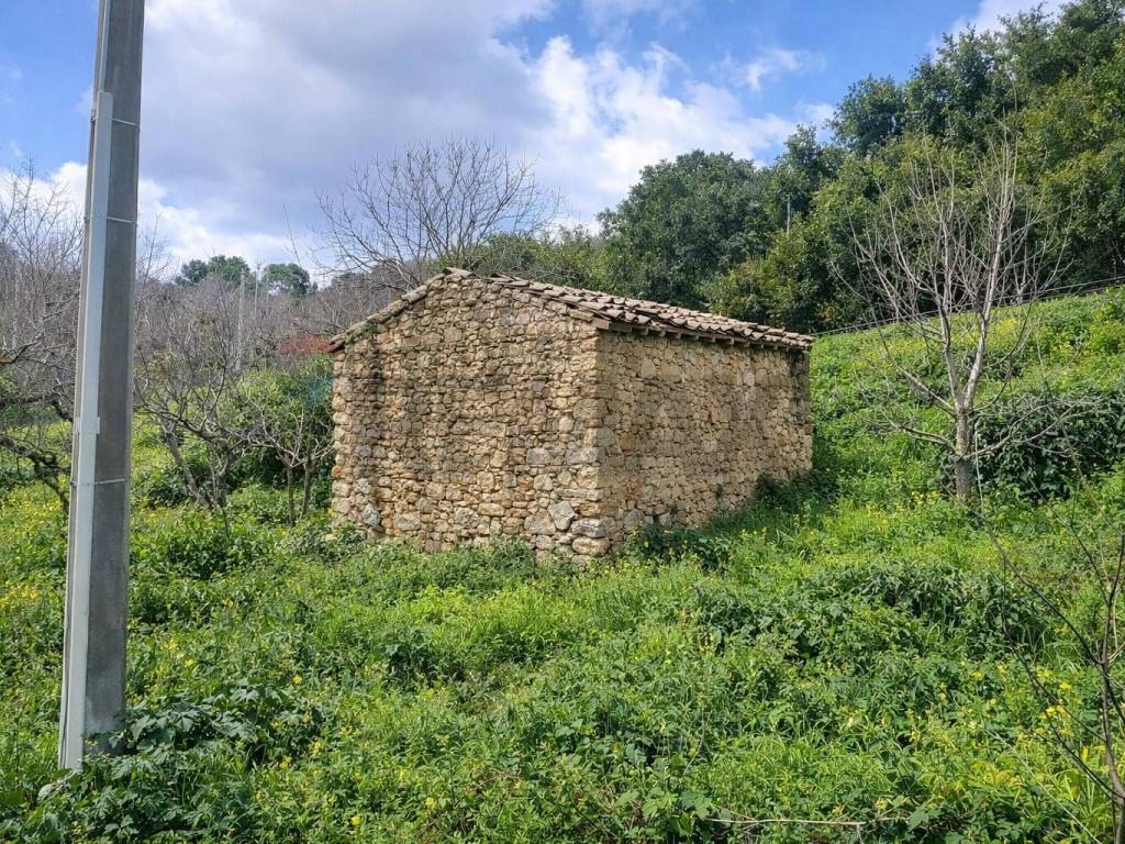 Terreno a Monreale in Contrada Montagnola - Foto 5