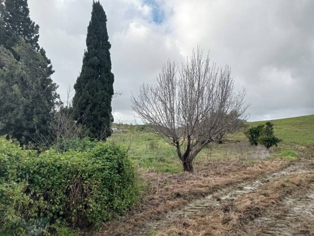 Villa a Trapani in Via Umberto Pace, 7 - Foto 5