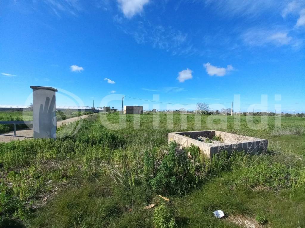 Casa indipendente a Taviano in Via Padula Chianca, 100 - Foto 2