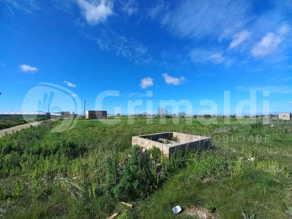 Casa indipendente a Taviano in Via Padula Chianca, 100 - Foto 4