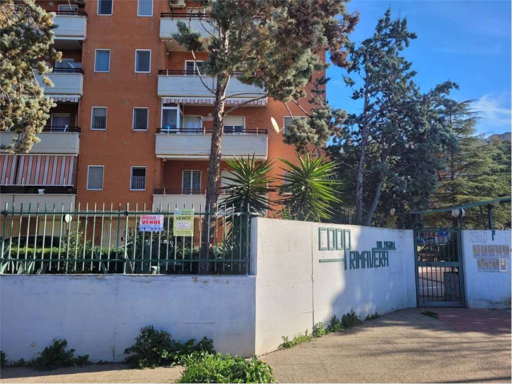 Appartamento a Cerignola in VIA PIGNA , 1 - Foto 4
