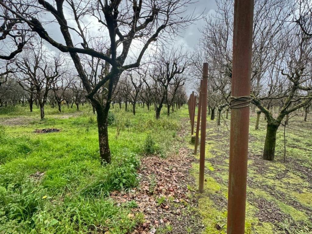 Terreno a Nocera inferiore in Via Padula - Foto 5