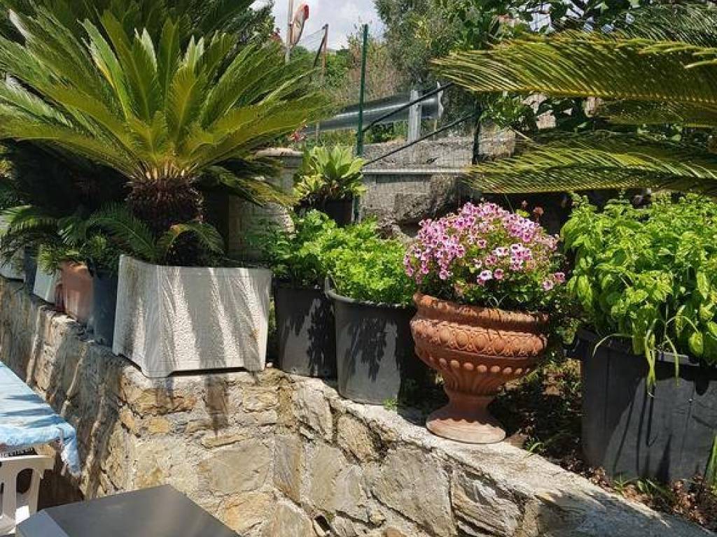 Villa a Bordighera - Foto 5