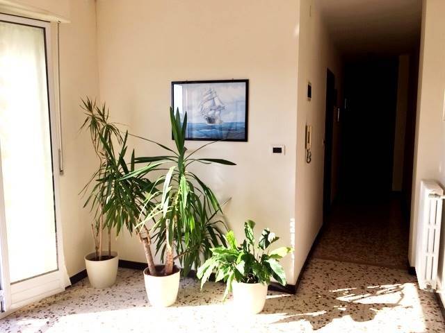 Appartamento a Camporosso - Foto 4