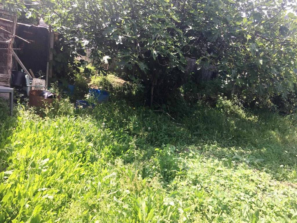 Rustico / casale a Camporosso - Foto 5