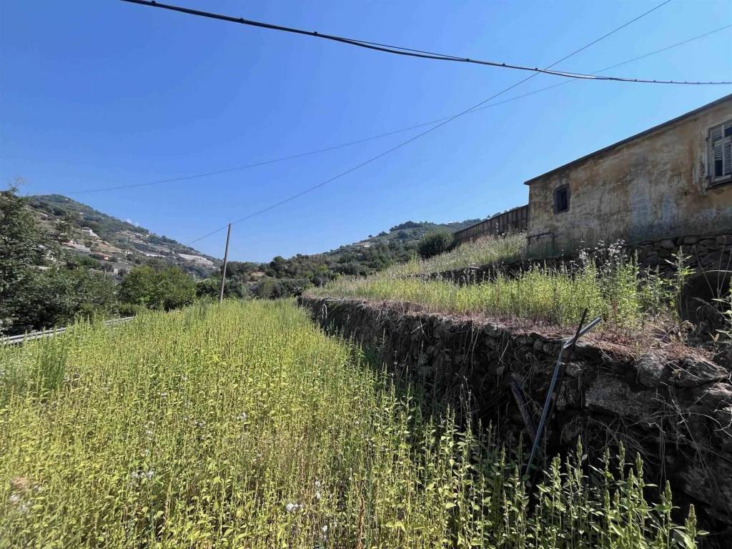 Rustico / casale a San biagio della cima - Foto 3