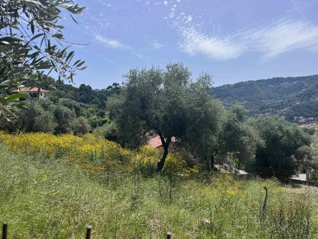 Terreno a Camporosso - Foto 2