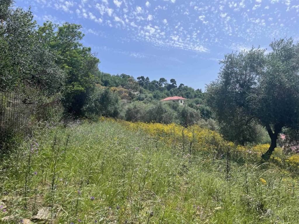 Terreno a Camporosso - Foto 3