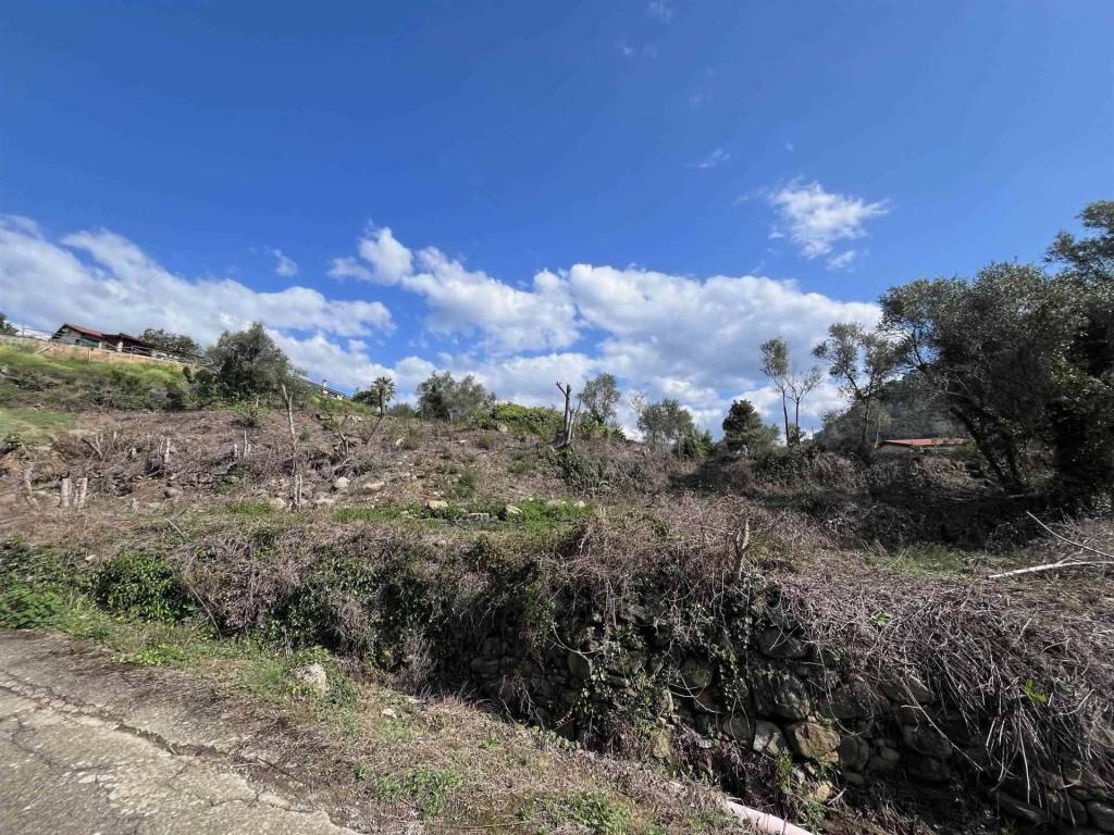 Terreno a Dolceacqua - Foto 2