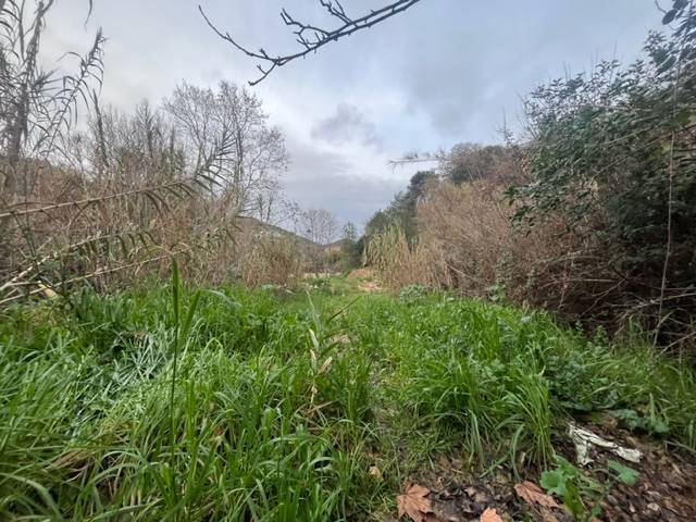 Terreno a Vallecrosia - Foto 2