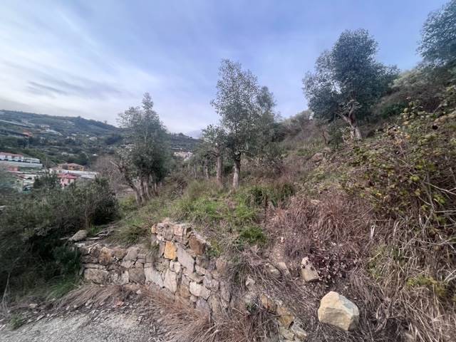 Terreno a Vallecrosia - Foto 3