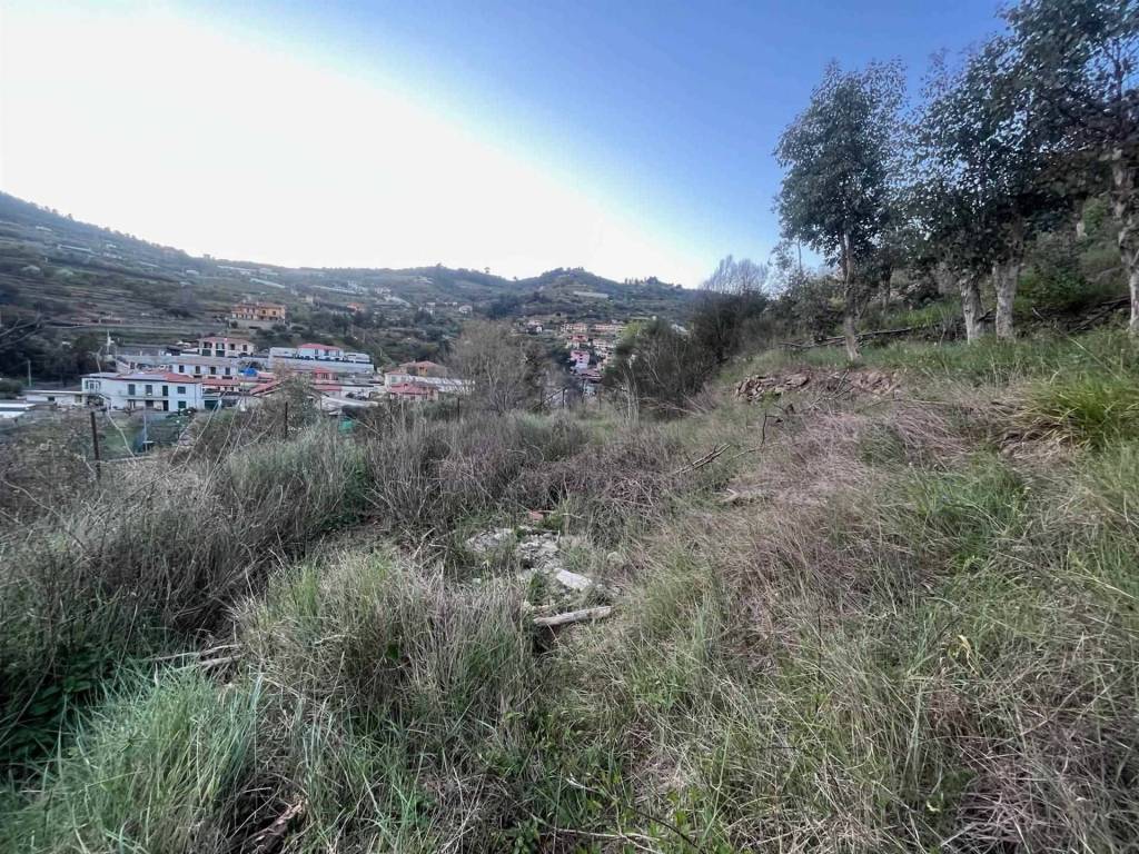 Terreno a Vallecrosia - Foto 5