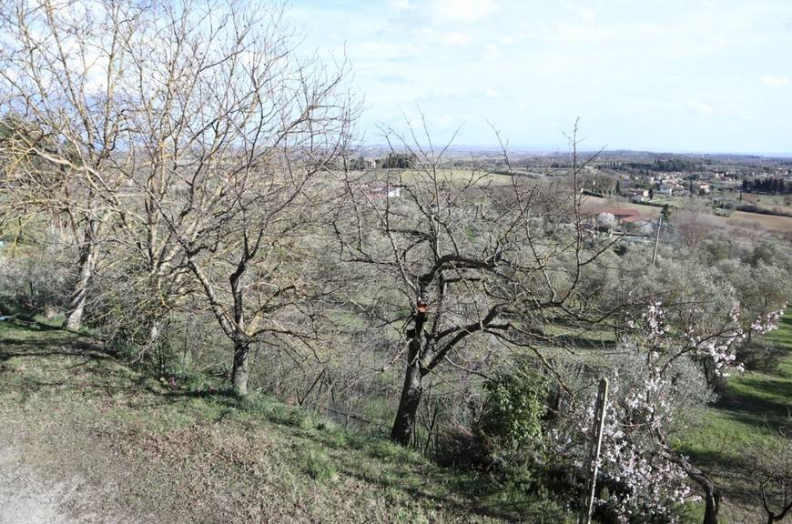 Villa a Lucignano in Via Casella, 6 - Foto 5