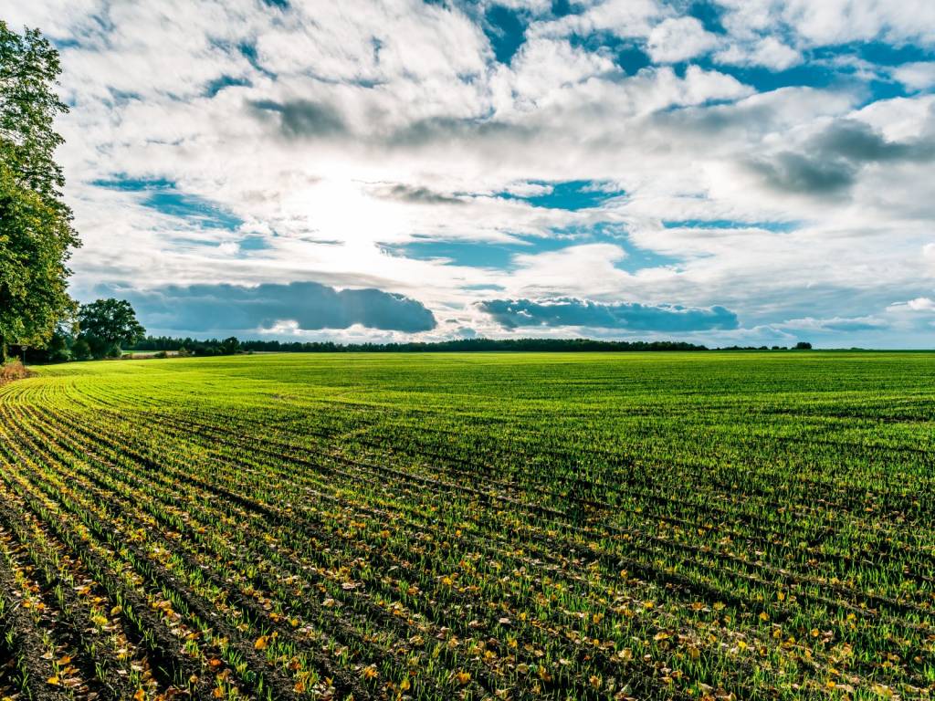 Terreno a Montechiarugolo - Foto 2