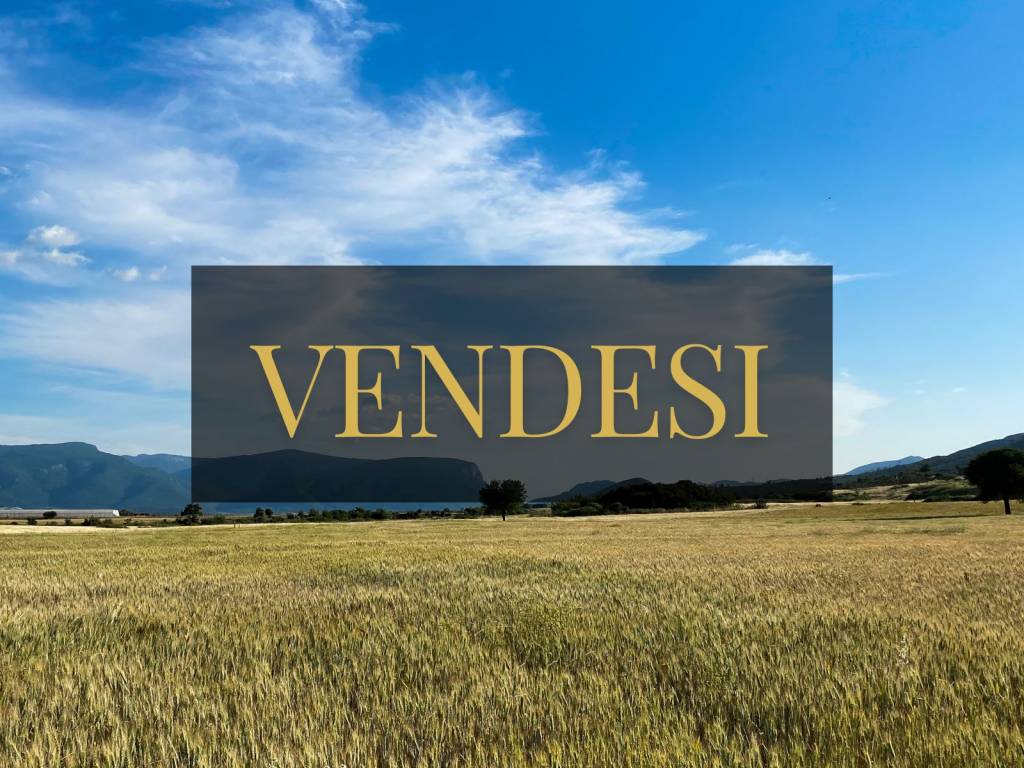 Terreno a Montechiarugolo - Foto 3