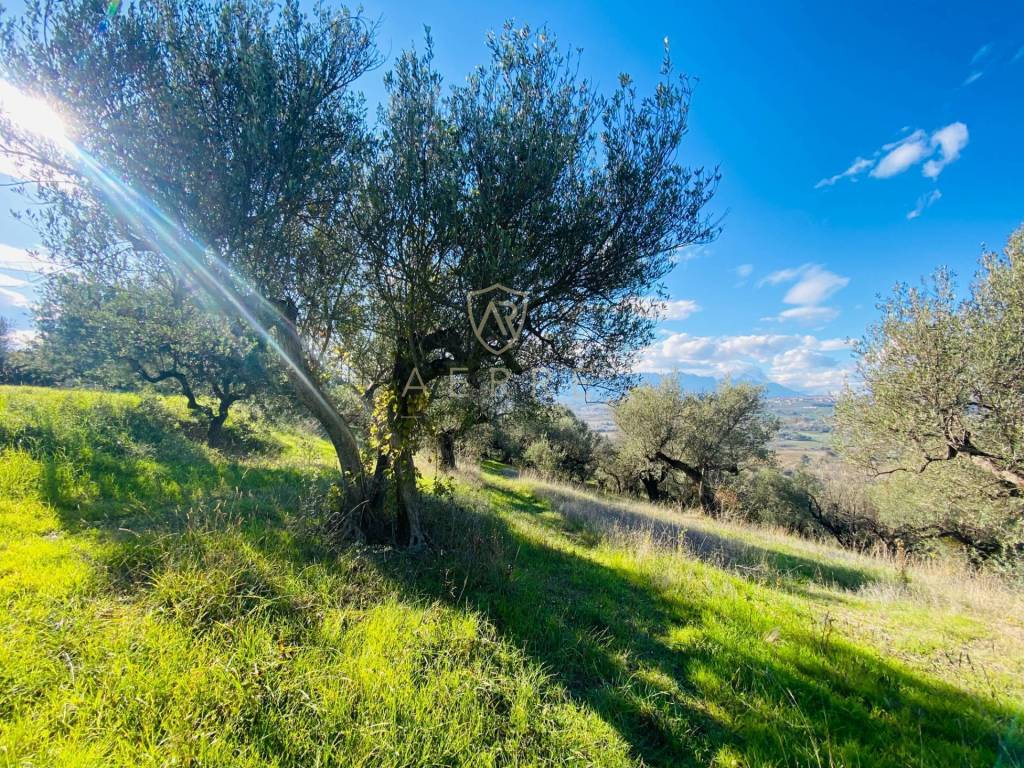 Appartamento a Moscufo in C.Da Pischiarano - Foto 4