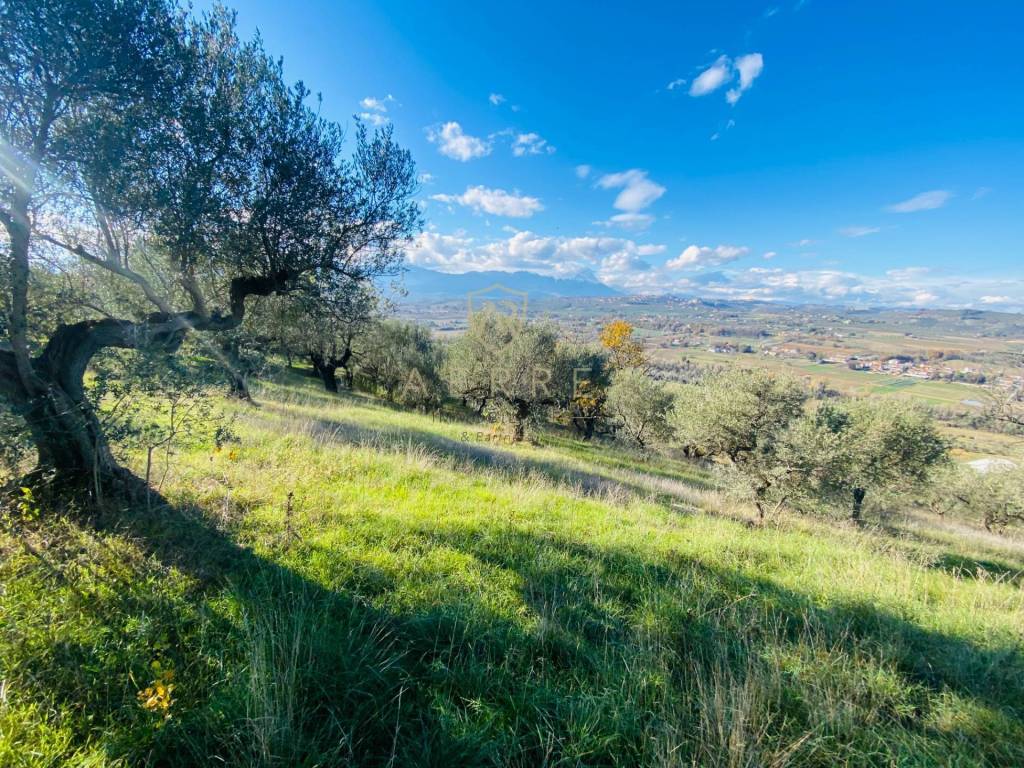 Appartamento a Moscufo in C.Da Pischiarano - Foto 5