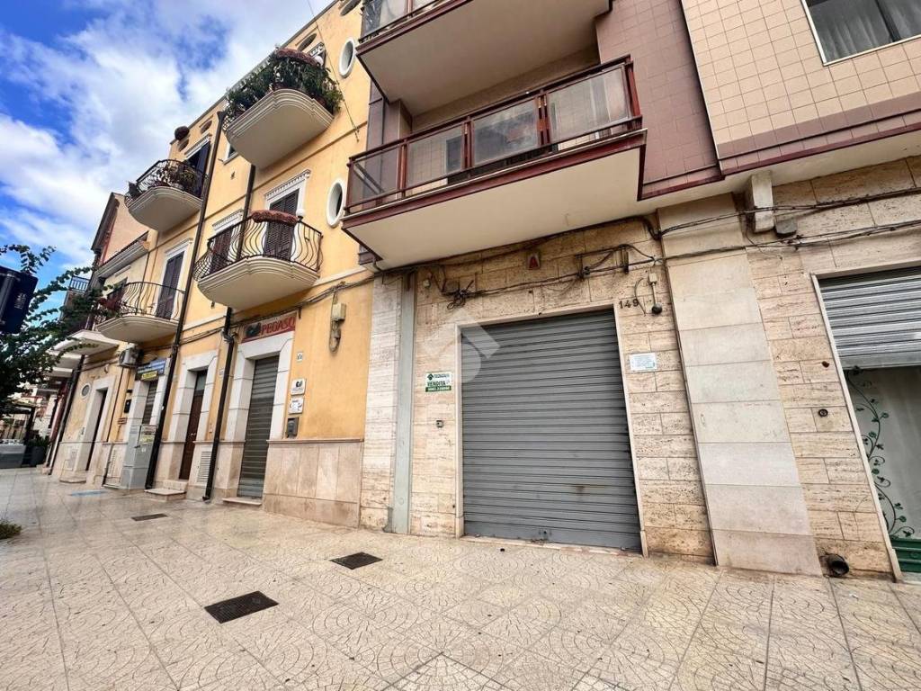 Immobile a San severo in via Minuziano, 149 - Foto 2